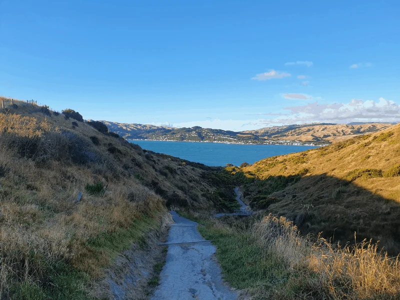 view from the inland track looking towards the inlet